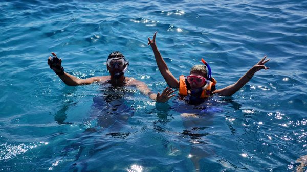 Quelles sont les merveilles cachées de la faune martiniquaise ?