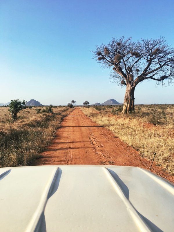 Partir en voyage au Kenya : Quelles sont les principales activités à pratiquer ?