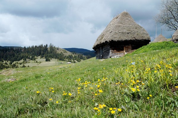 Gîtes de montagne Saint-Émilion : un paradis pour les amoureux de la nature et du vin